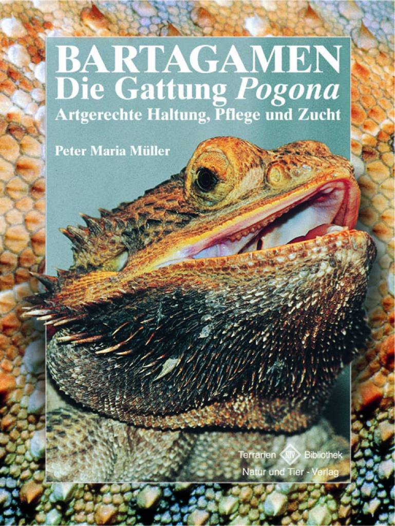 Bartagamen – Die Gattung Pogona